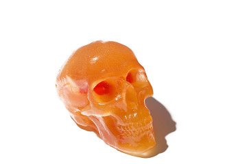 flaming lips gimmick publicity skull