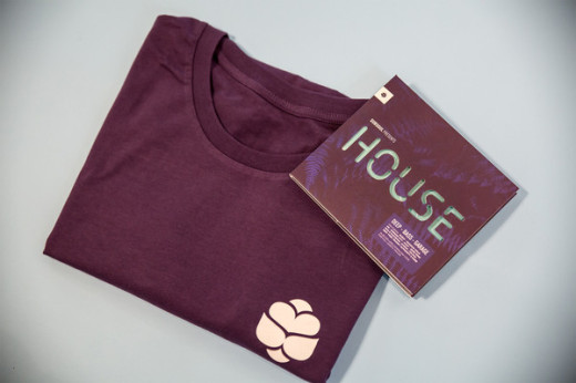 t-shirt and vinyl bundle- house