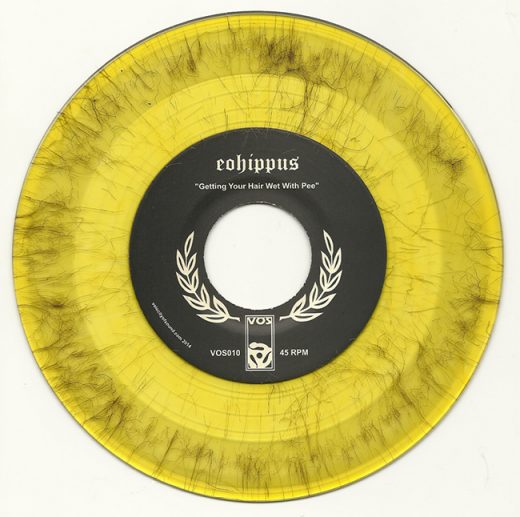 hair-filled-vinyl-record